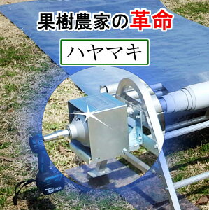 yz˃tB`@ n}L V^pSK|101 V[g@ tB@ @ ʎ_Ƃ̕Ki