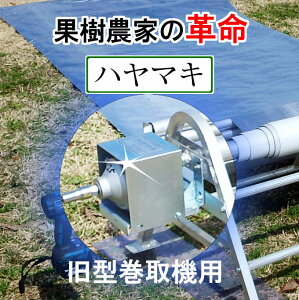 yz˃tB`@ n}L ^pSK|202 V[g@ tB@ @ ʎ_Ƃ̕Ki