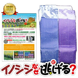 CmVV΍ Qb΍ CmVVȂ? 50Zbg ޗ95ȏ Qb쏜 CmVV  ̂΍ L ΍ CmVV쏜 CmVV Q 悯 CmVV dC Cm