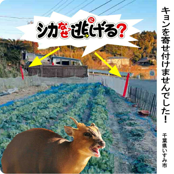 楽天市場】鹿よけ対策 鹿 撃退 シカなぜ逃げる? 50個セット 鹿が嫌い  