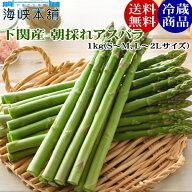 下関産朝採れアスパラ1kg グリーンアスパラ 冷蔵便 お中元ギフト アスパラガス 野菜