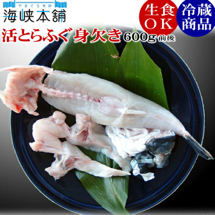 楽天市場 朝獲れ活締めとらふぐ身欠き 1kgサイズ国産とらふぐ使用 冷蔵 生食可 約600g前後 3 4人前 ふぐ刺し ふぐ鍋 みがき やまぐち旬彩 海峡本舗 楽天市場 朝獲れ活締めとらふぐ身欠き 1kgサイズ国産とらふぐ使用 冷蔵 生食可 約600g前後 3 4人前 ふぐ刺し ふぐ鍋 みがき やまぐち旬彩 海峡本舗