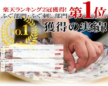 とらふぐ刺身セット(25cmプラ皿2-3人前)ふぐフグ河豚ふぐ刺してっさ父の日ギフトお取り寄せ