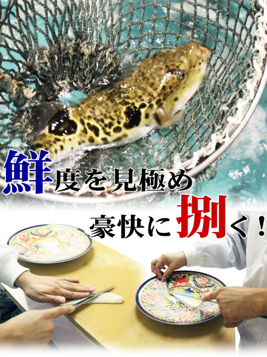 楽天市場】とらふぐ刺身とふぐ鍋セット(24cm皿2-3人前) 冷蔵 ふぐ フグ ふぐ刺し ふぐちり ふぐ料理セット 御歳暮 ギフト お取り寄せグルメ 山口県 : やまぐち旬彩 海峡本舗 楽天市場】とらふぐ刺身とふぐ鍋セット(24cm皿2-3人前) 冷蔵 ふぐ フグ ふぐ刺し ふぐちり ふぐ料理セット 御歳暮 ギフト お取り寄せグルメ 山口県 : やまぐち旬彩 海峡本舗