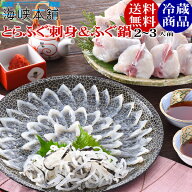 とらふぐ刺身とふぐ鍋セット（24cm皿2-3人前） 冷蔵 ふぐ フグ ふぐ刺し ふぐちり ふぐ料理セット お中元…