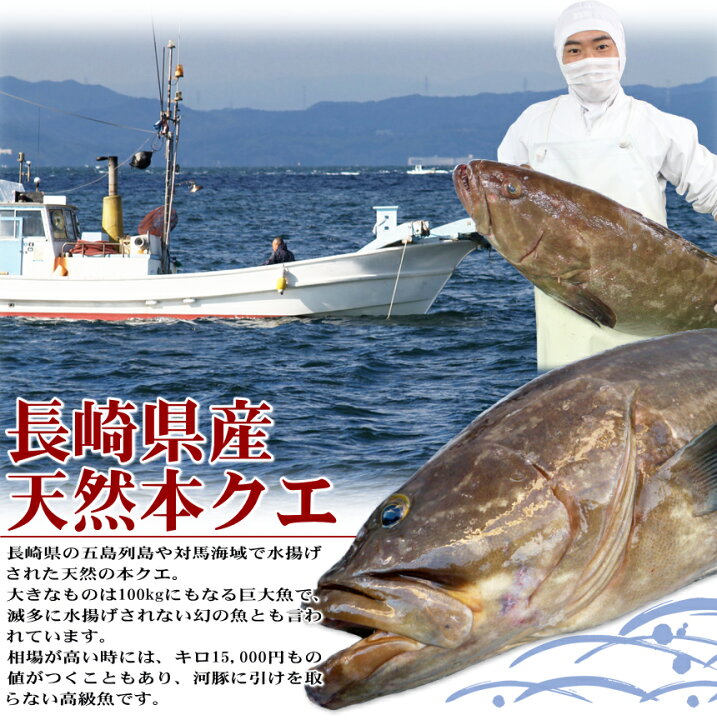 楽天市場 クエ鍋クエしゃぶセット ２人前 長崎県産天然本クエ使用 くえ鍋 しゃぶしゃぶ お歳暮 ギフト 送料無料 お取り寄せ やまぐち旬彩 海峡本舗