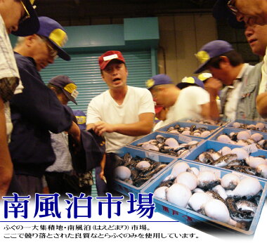 とらふぐちり鍋セット(1kg5-6人前)ふぐフグ河豚ふぐ鍋てっちりお歳暮ギフトお取り寄せ年末グルメ