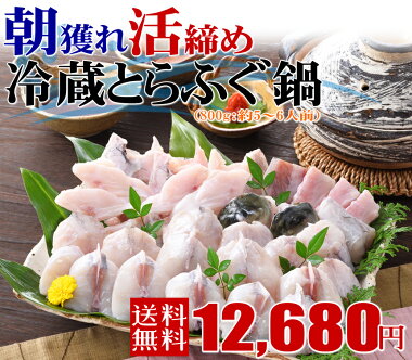 とらふぐ鍋セット(5-6人前800g)朝獲れ活締めふぐフグ河豚ふぐちりてっちりふぐ鍋お歳暮ギフト年末グルメお取り寄せ