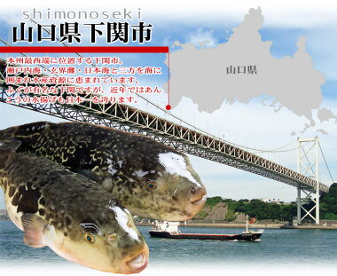 朝獲れ活締めとらふぐ料理フルコース(34cm皿5-6人前)ふぐフグ河豚ふぐ刺しふぐ鍋お歳暮ギフト年末グルメお取り寄せ