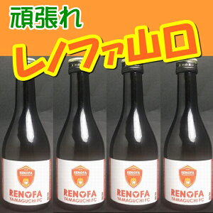 yRzyRsÐzy𑢁zyR΁zmt@R@ċ300mlx12{