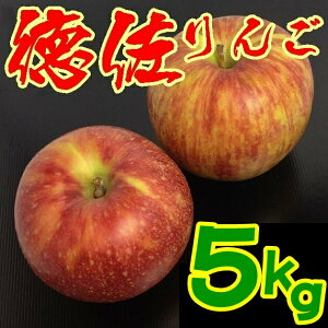 yoגzۗÂ@5kgyRzy{̂񂲉zʓrAk500~AkC1000~EAs