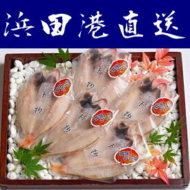 楽天市場 島根 のどぐろの通販