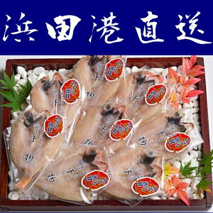 【送料無料】【島根県】【浜田市原井町】【シーライフ】山陰産のどぐろ開セットSサイズ8尾※別途送料、東北500円、北海道1000円・沖縄、離島不可※