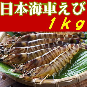 yzy{CԂсzyRzysJzykMܓ`̗zyR萅YzԊCV1kg֓AVAkCAkAꌧAs