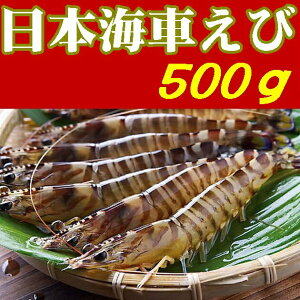 yzy{CԂсzyRzysJzykMܓ`̗zyR萅YzԊCV500g֓AVAkCAkAꌧAs