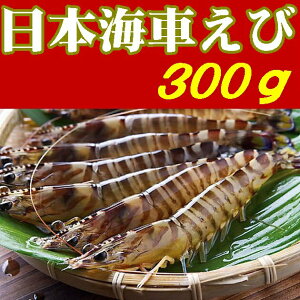 yzy{CԂсzyRzysJzykMܓ`̗zyR萅YzԊCV300g֓AVAkCAkAꌧAs