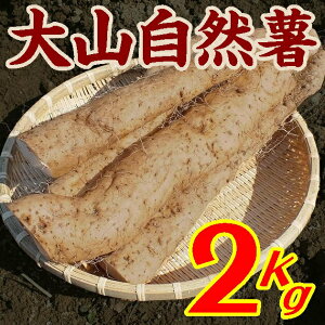 y11{\zyzy{_zR˂񂶂iRj2kgʓrAk500~AkC1000~EAs yRz