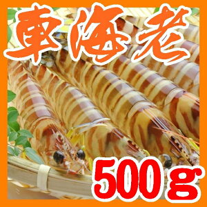 yzyRzyRsHzynƖ26NzycۊCYzԊCV500gkCAkAAs