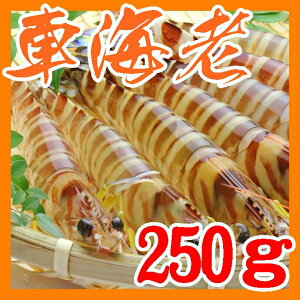 yzyRzyRsHzynƖ26NzycۊCYzԊCV250gkCAkAAs