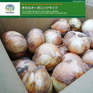 【山口県】【送料無料】【ハートアンドブレイン】有機玉ねぎ 10kg(業務用)