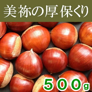 yzy①ۊǁzǏیIij500gyIzyRIszyN[ցzʓrAk500~AkCEE1000~