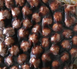 yⓀHizٓ~[g{[1kgyxXgzywZHz