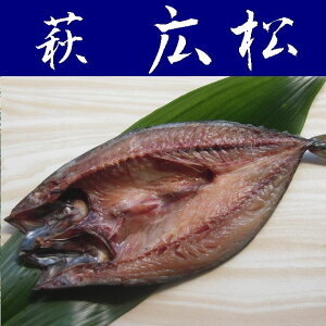 yzẙzY6yRzys֓zynƖ23NzyELzyYnz@ʓrAk500~AkC1000~EAs