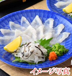 yzyⓀzƂӂhgM1lOivM19cmjx2yRzy֎szy{XzʓrAk500~AkC1000~EAs