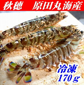 ycۊCYzyhgpzⓀYԊCV170gy3DⓀzyRzyRsHzynƖ26Nzk500~AkC1000~AAs