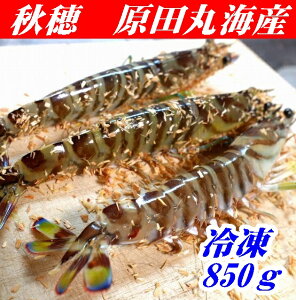 ycۊCYzyhgpzⓀYԊCV850gy3DⓀzyRzyRsHzynƖ26Nzk500~AkC1000~AAs