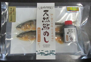 yӂ̐싙zVR߂i񍇗pjyRzyRsz