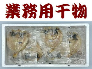 yzyƖpzRÅ4Zbgylc`zylcszyЂ́zyƖpzʓrAk500~AkC1000~EAs