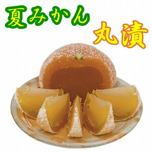 【マルハギ物産】萩の夏みかん丸漬(小)【山口県】【萩市大字椿】