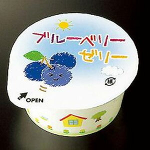 ywZHzyCTt[YzyⓀHizywZHzXC[gu[x[[[iSEH@ہj X40