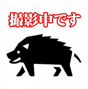 �y���������z�y���B�W�r�G�z�y�ÐH�i�z���֎Y�y�C�m�V�V���z�q�����u���b�N1kg�y�R�����z�y���֎s���쒬�z���ʓr�����A���k500�~�A�k�C��1000�~�A����E�����s��