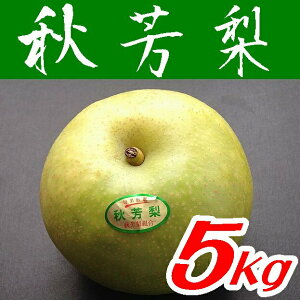 yzȈHFiԏGj5kgi16ʁ`18ʁjyRzyIsHFzʓrAk500~AkC1000~EAs