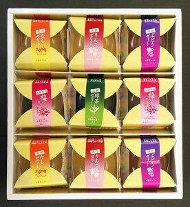 【山口県】【下松市藤光町】【ほうえい堂】やまぐちあぐりゼリー9個入【山口県産果実使用】