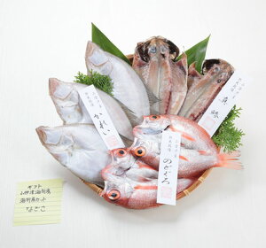 yzyo_ɒÍ`YzVR3ZbguȂvyⓀzyo_szyɒÊC{[zʓrAk500~AkCEE1000~܂