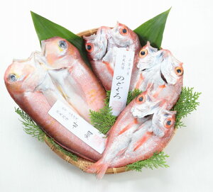 yzyo_ɒÍ`YzVR2ZbguvyⓀzyo_szyɒÊC{[zʓrAk500~AkCEE1000~܂