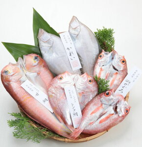 yzyo_ɒÍ`YzVR4Zbgu₩vyⓀzyo_szyɒÊC{[zʓrAk500~AkCEE1000~܂