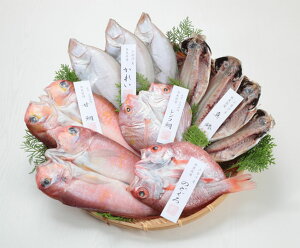 yzyo_ɒÍ`YzVR5ZbguvyⓀzyo_szyɒÊC{[zʓrAk500~AkCEE1000~܂