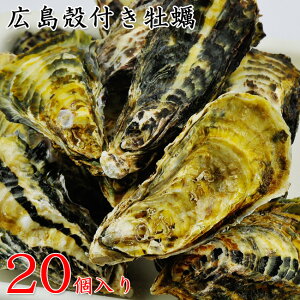 yLzL{YukiyEJLj20vyMtgpz