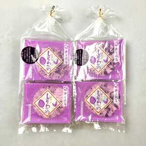 [ցyz㏤Xw킩߂ׂx 10x2܁i킩߁j