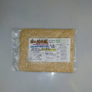 [ցyzSؑw^jVāiāj500gx