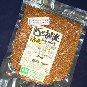 [ցyzSؑwÑĎGiԕāj300gx