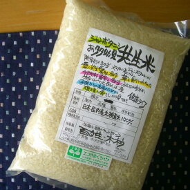 楽天市場 タニシの通販 楽天市場 タニシの通販