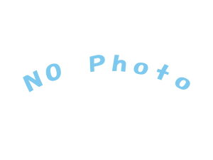 �yVOLVO/�{���{�z�@�~�X�g�t�B���^�[�@�i876069�j