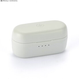 充電ケース グレー GRAY TW-E3CH