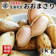 【ご予約受付中】ゆで落花生用 生落花生おおまさり 1kg 令和8年産 洗浄済　発色剤不使用 選別済 レシピ付…