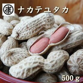楽天市場 国産落花生の通販